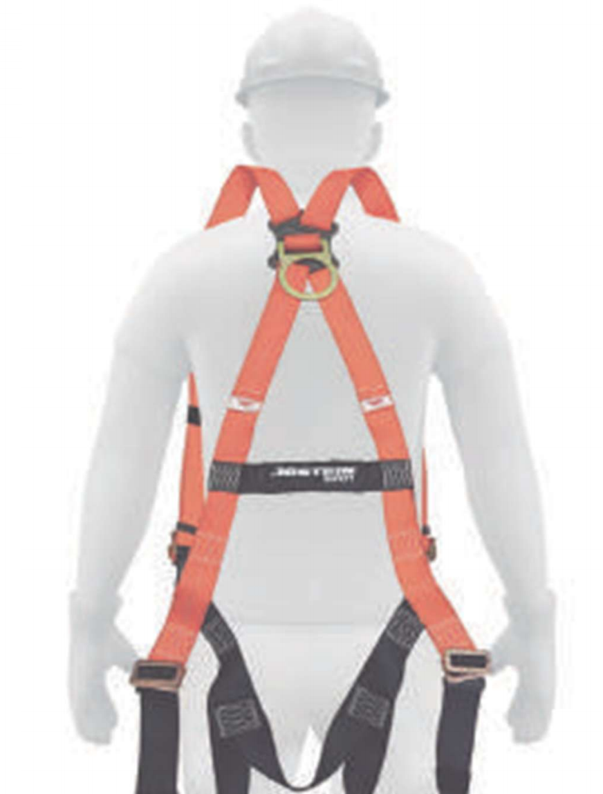 Arnés de Seguridad Cuerpo Completo 1 Argolla